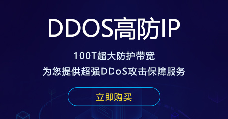 天下数据DDoS高防ip